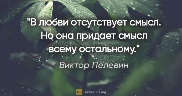 Все остальное не имеет смысла. Но она придает смысл всему остальному. В любви начисто отсутствовал смысл. Любовь не имеет смысла но придает смысл всему остальному. Вы сами придаете смысл.