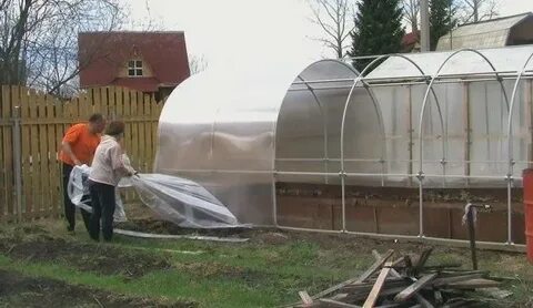 Как правильно перекрыть теплицу поликарбонатом своими руками