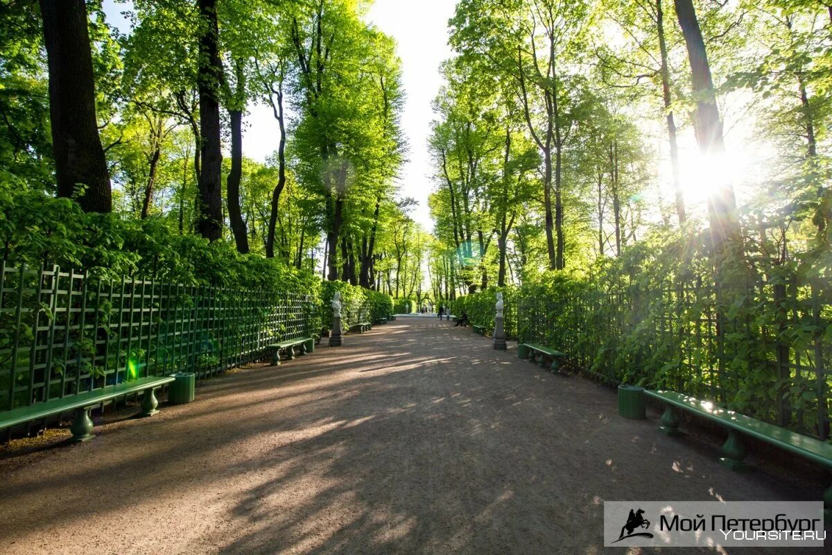 Какие парки есть в петербурге. Летний сад в санкт-петербурге. летний парк спб. летний сад питер. тенистые аллеи летнего сада спб.