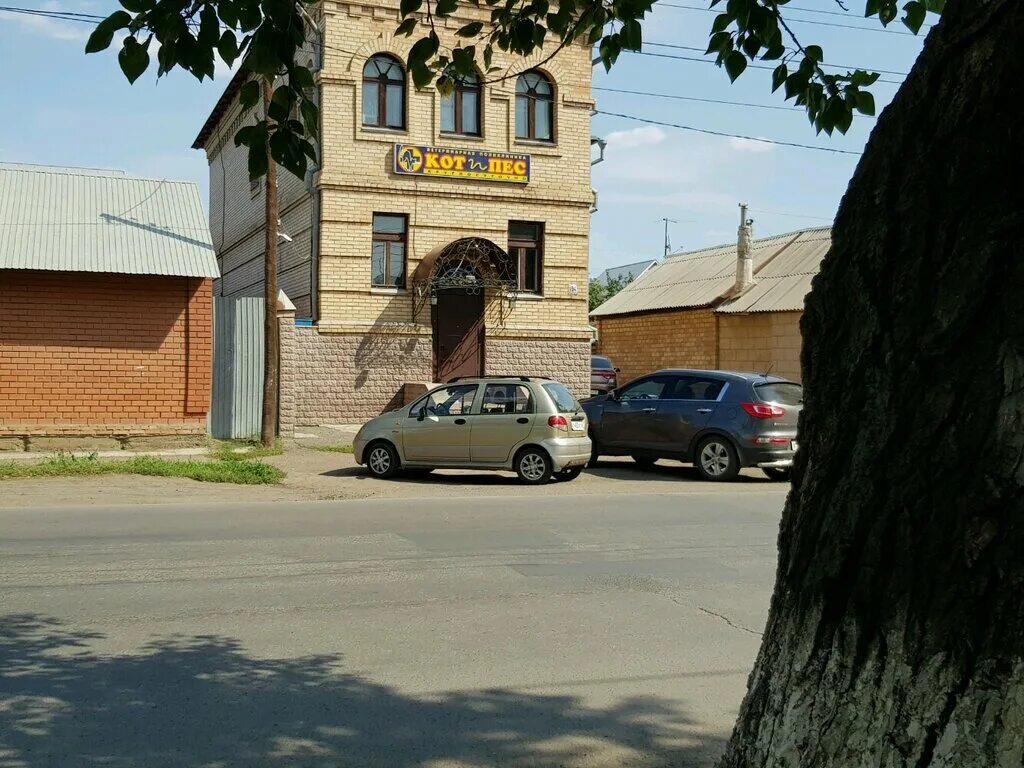 ветеринарная клиника. комсомольская 194 кот и пес оренбург. комсомольская 194 кот и пес оренбург. кот и пес оренбург комсомольская. комсомольская 194 кот и пес оренбург.