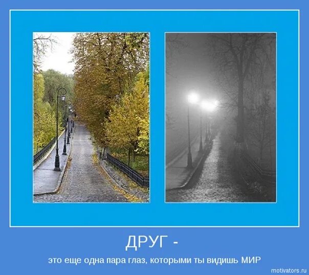 Видеть своими глазами ошибка