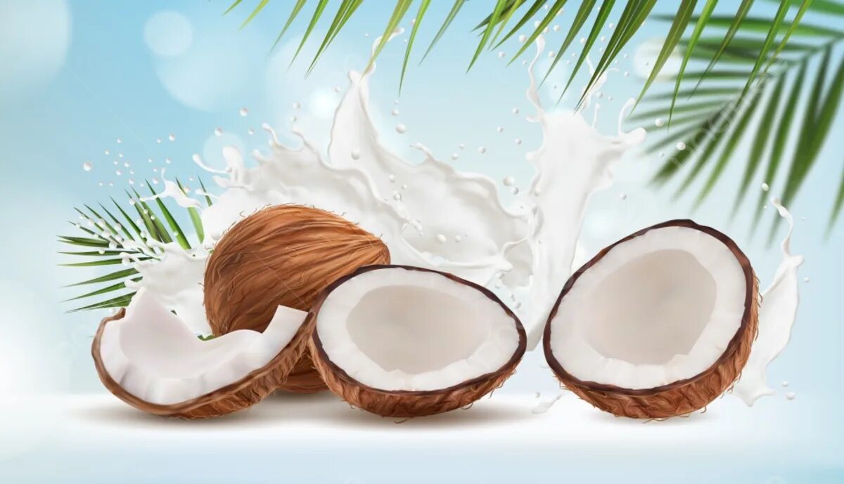 Coconut - Personal Project (4) Images :: Behance