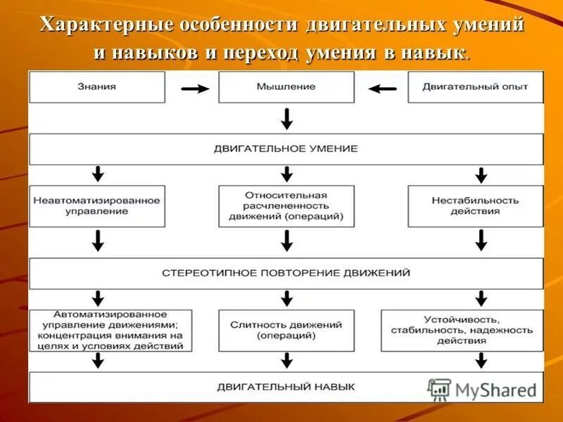Основу двигательных способностей составляют. Основу двигательных способностей составляют