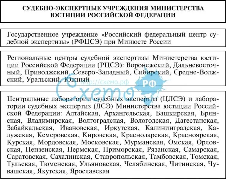 Судебно экспертное учреждение рф. Система государственных судебно-экспертных учреждений России схема. Судебно-экспертные учреждения Министерства юстиции. Функции государственных судебно-экспертных учреждений России. Структура судебно экспертных учреждений Министерства юстиции.