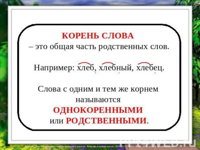 Корень в слове открыл