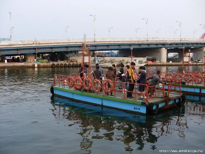 , 36 дворцовая пристань. паромная переправа зеленодольск нижние вязовые. паром финляндия швеция. санкт-петербург, дворцовая наб. паромная переправа через волгу мышкин.