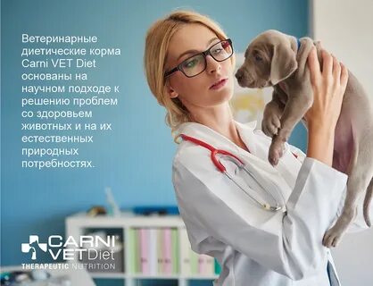 Вакансии в ассистент ветеринарного врача