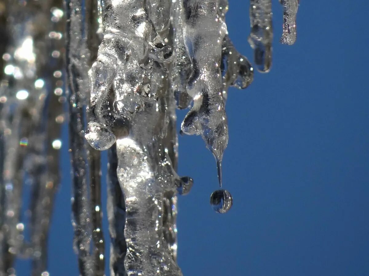 Капли тающего. Сосульки. Капли тающего. Сосульки тают. Тающие сосульки.