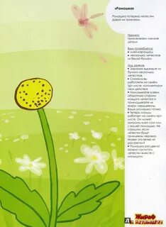 Первые шедевры