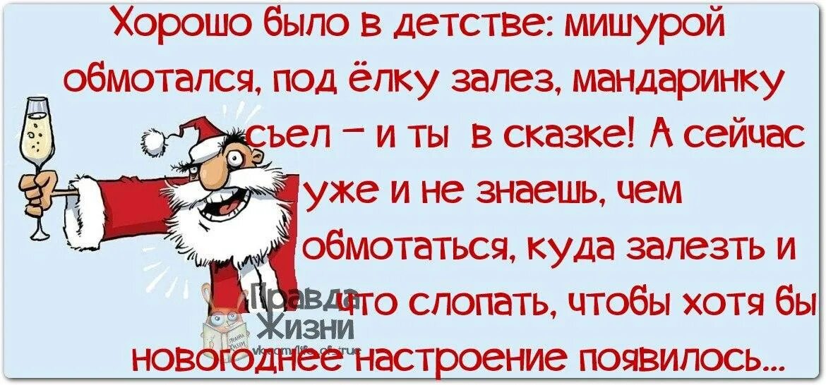 Статусы 1 января. Смешные цитаты про новый год в картинках. Шутки про новогоднее настроение. Новогоднее настроение юмор. Высказывания про новый год.