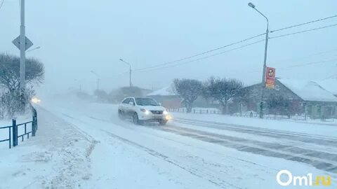 Омск на две недели