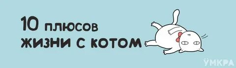 Коте плюс