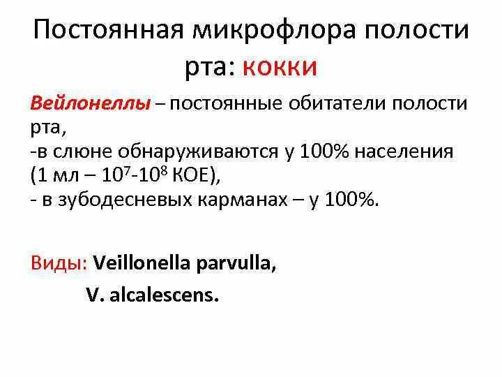 Микрофлора ротовой полости. Микрофлора ротовой полости