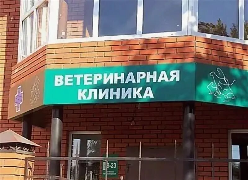 Ветеринарная пирогово. Ветеринарная клиника щекино пирогова. г щекино ул пирогова клиника ветеринарная. ветеринарная клиника в щёкино молодёжная 30. клиника на молодежной щекино.