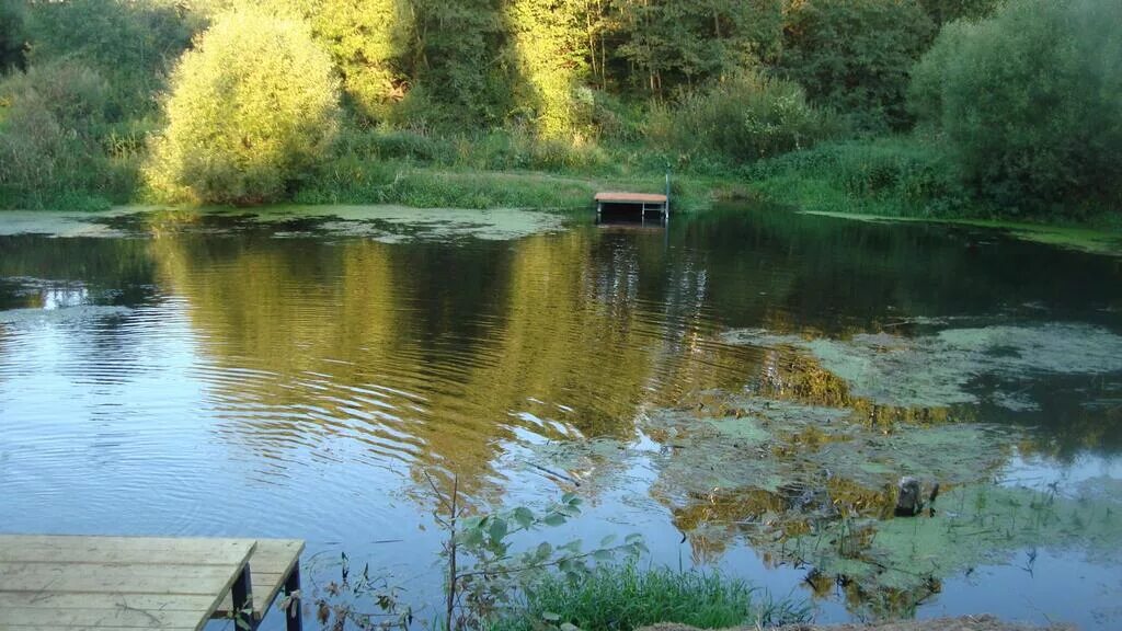 Озеро Плесенка нароыоминск. Пляж в Наро-Фоминском районе. Красивое озеро в Наро-Фоминском районе. Озеро разведчиков Наро Фоминск. Рыбалка в шапкино наро фоминский