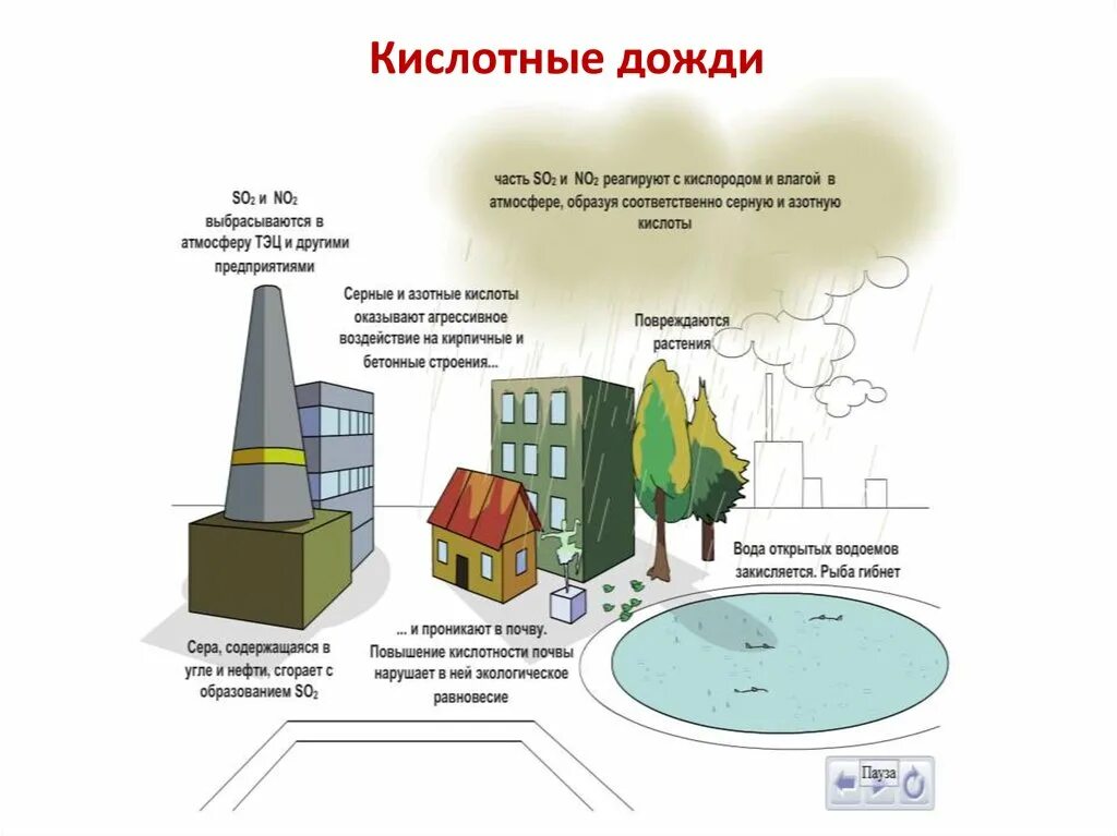 Кислотные дожди пути решения проблемы. Кислотные дожди связаны с загрязнением атмосферы. Решение проблемы кислотных дождей. Кислотные дожди причины проблемы.