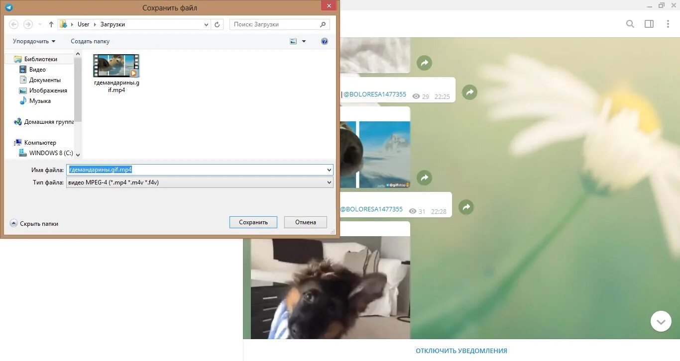 Как сохранить видео с телеграмма на компьютер. Как скинуть видео с телеграмма телефона на компьютер. Как сохранить видео в телеграмм с ноутбука. Как сохранить видео из ютуба в телеграмме.