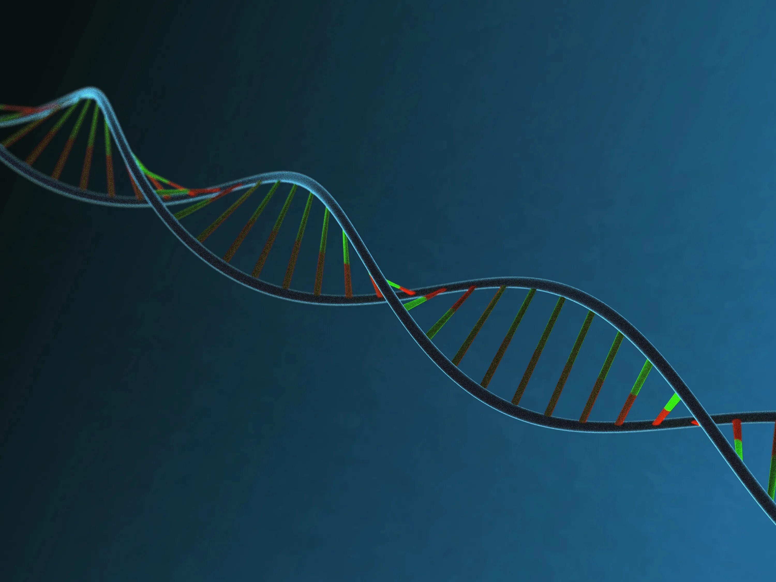 Ген геном генетические аппараты. ДНК. Генетика. ДНК человека. Молекула ДНК.