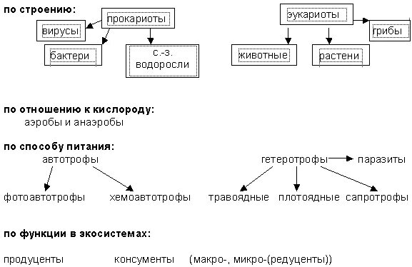 Типы питания схема. Типы питания организмов схема. Классификация живых организмов по типу питания. Типы питания организмов таблица.