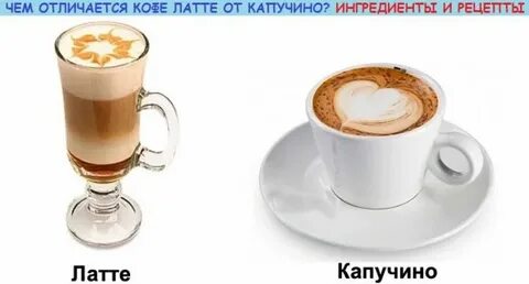Латте какой род