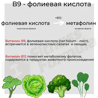 Фолиевой кислотой в каких продуктах