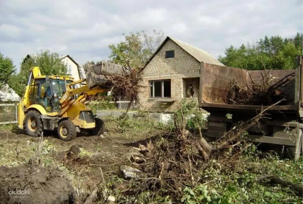 Вывоз спила деревьев. Расчистка участка. уборка и расчистка участка. расчистка участка от деревьев. очистка участка.