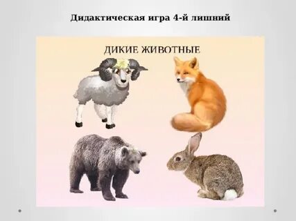 4 лишний дикие животные