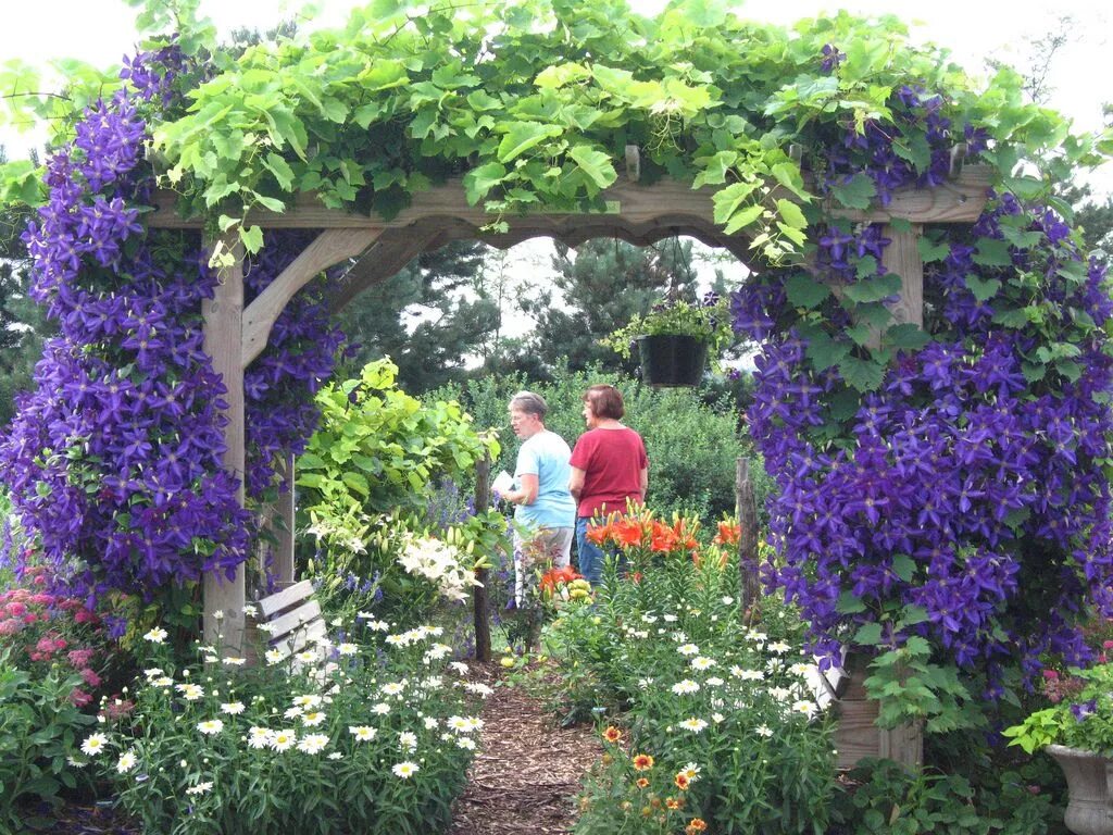 These Breathtaking Pictures of Clematis Are All You Need to See Today Clematis, 