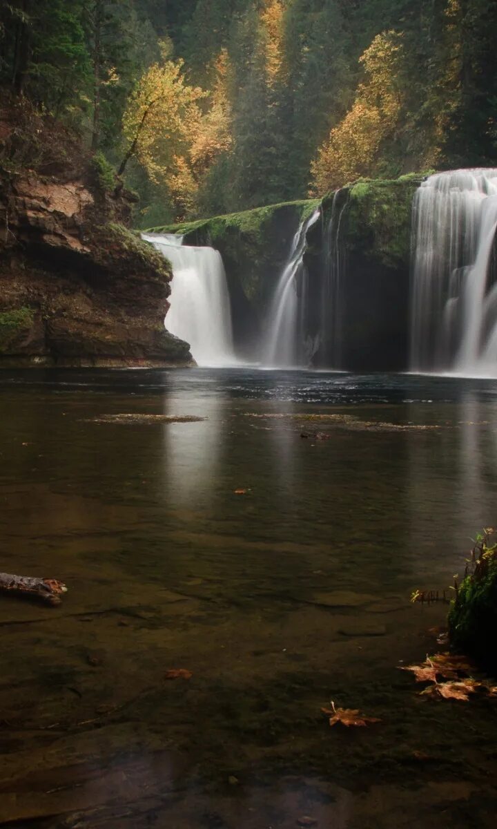 Озера водопад лес. Водопад у озера. Лес озеро водопад. Лесное озеро водопадик. Эстетичный лес с водопадом.