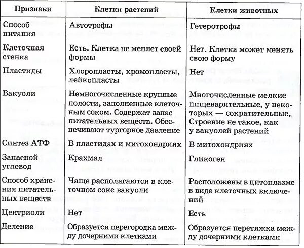 Отличительные особенности растительной. Сравнение органоидов растительной и животной клетки таблица. Сравнение клеток растений и животных таблица органоиды. Сравнение клетки растений и животных таблица сходства и отличия. Сравнение органоидов растительной и животной клетки.