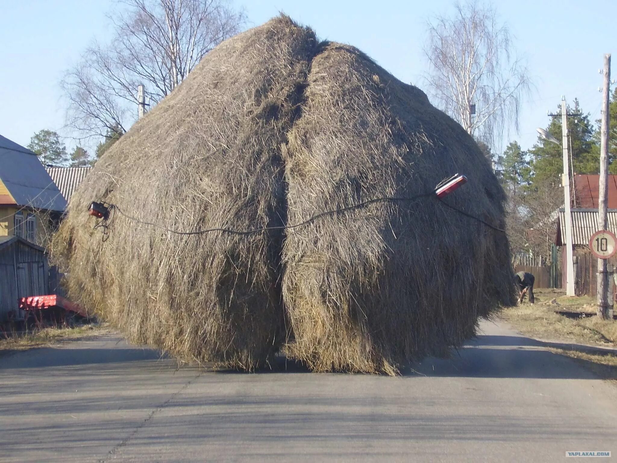 Аналогично фото. Волосатое очко мамонта.