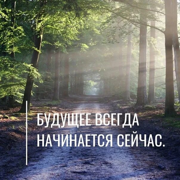 Начни текущую