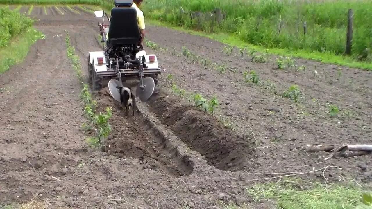 Пашем фрезой видео. Минитрактор окучивание картошки. Культиватор Крот вспашка плугом. Минитрактор мотоблок перекопка грунтаальтернатива плугу.