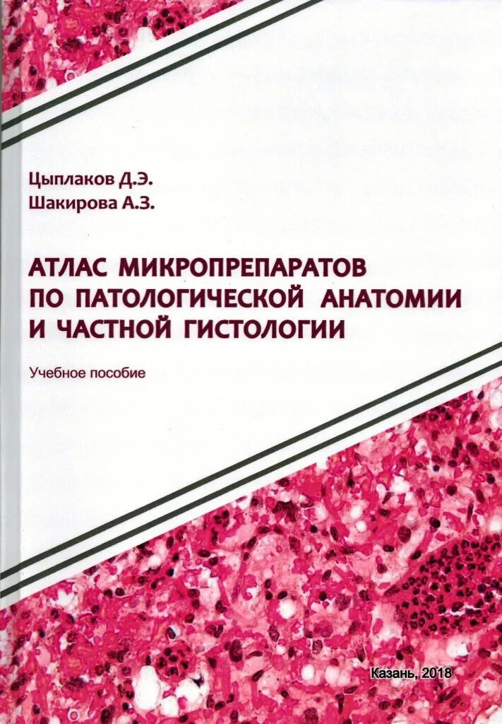 Основы патологической анатомии. Патологическая анатомия. атлас. учебное пособие. патологическая анатомия атлас. атлас по патологической анатомии.