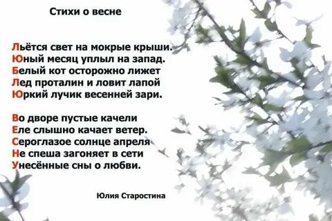 Небольшие стихи в прозе