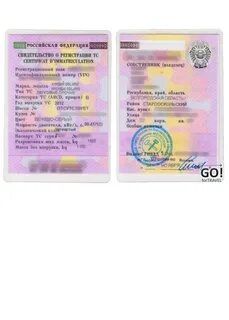 Право совместной собственности на автомобиль