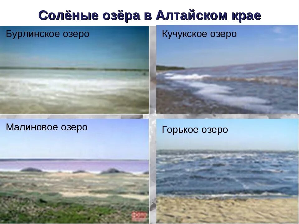 Яровое бурсоль. Бурлинское озеро зимой. Озеро бурсоль алтайский край на карте. Бурлинское озеро алтайский край на карте. Бурлинское озеро алтайский край фото.
