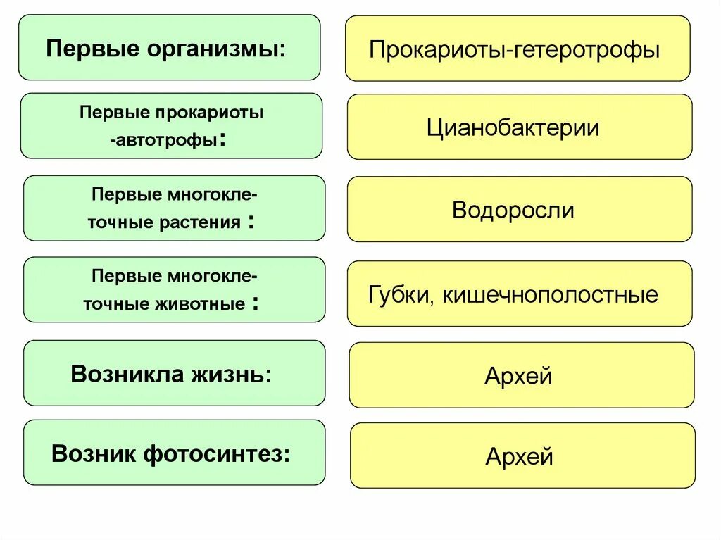 Прокариот автотроф