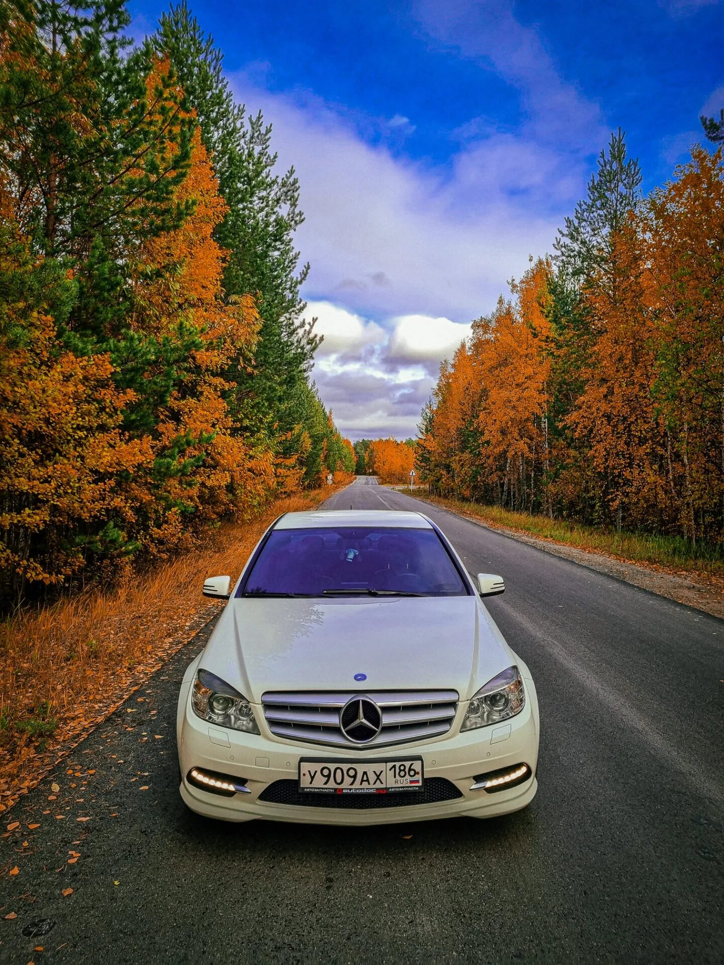 Немного осени - Mercedes-Benz C-class (W204), 1,8 л, 2011 года наблюдение DRIVE2