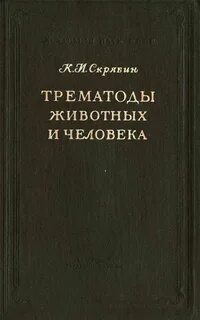 Новейшая история литература