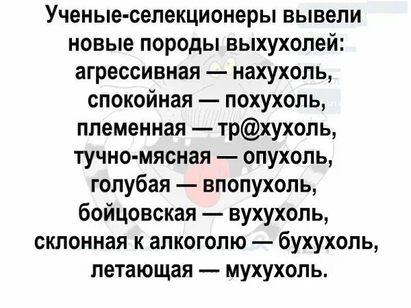 Анекдот ежик выхухоль. Похухоль и нахухоль анекдот. анекдот про выхухоль. выхухоль приколы. выхухоль нахухоль похухоль.