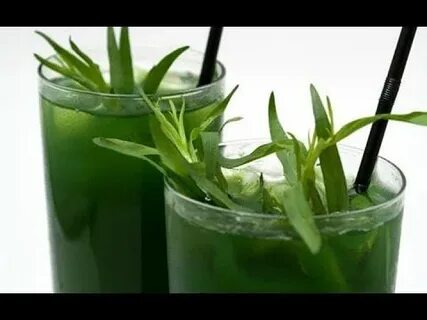 Plant to drink