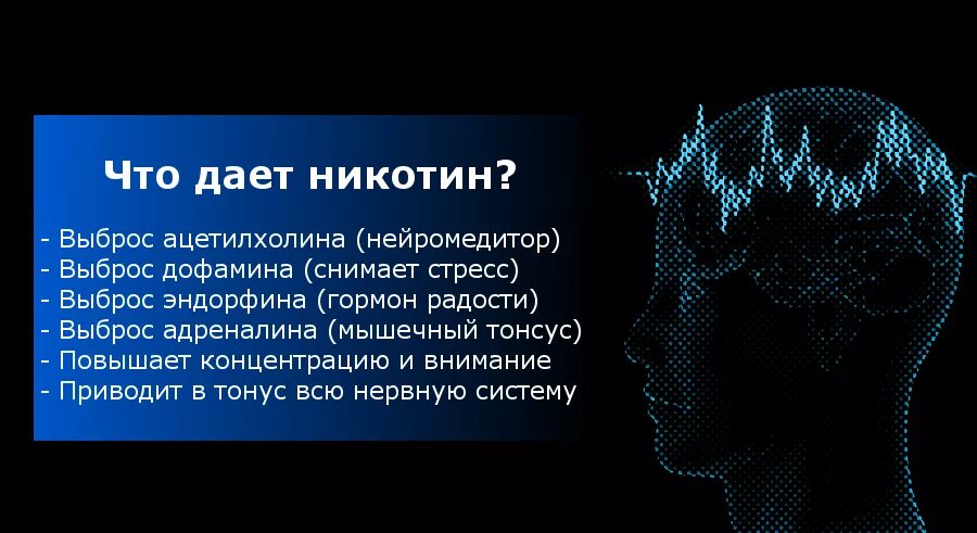 Чувство эндорфина песня. Если это чувство просто выброс эндорфина. Если эти чувства просто выброс эндорфина. Если этото чуство просто выброс индорфина. Если это чувство просто выброс эндорфина текст.