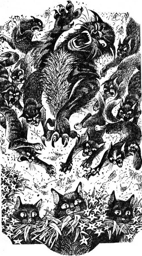 Пепелица воители звезда. Коты воители огнезвёзд звёздное племя. Коты воители сверкающая звезда. Грозовая звезда коты воители. Коты воители светлозвёзд.