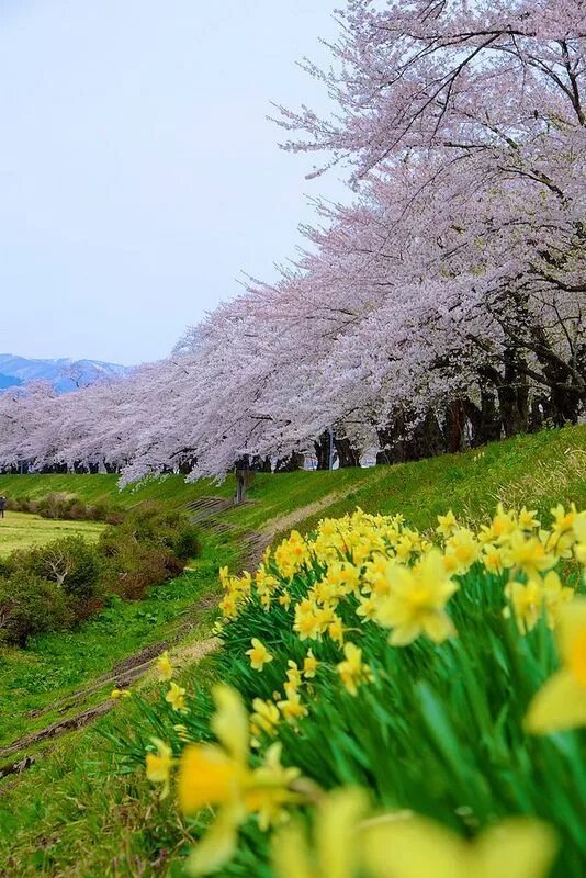 Weather spring