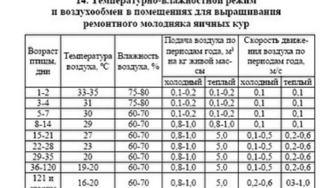 Температурный режим для цыплят бройлеров таблица. Температурный режим выращивания цыплят. Тепловой режим цыплят кур несушек. Температурный режим выращивания цыплят кур несушек. Температурный режим содержания цыплят кур несушки.