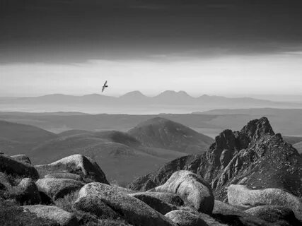 British wildlife photography awards 2024