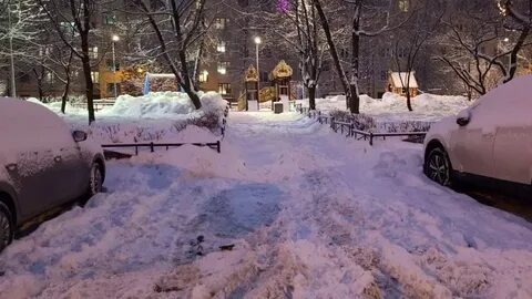 Принеси снега
