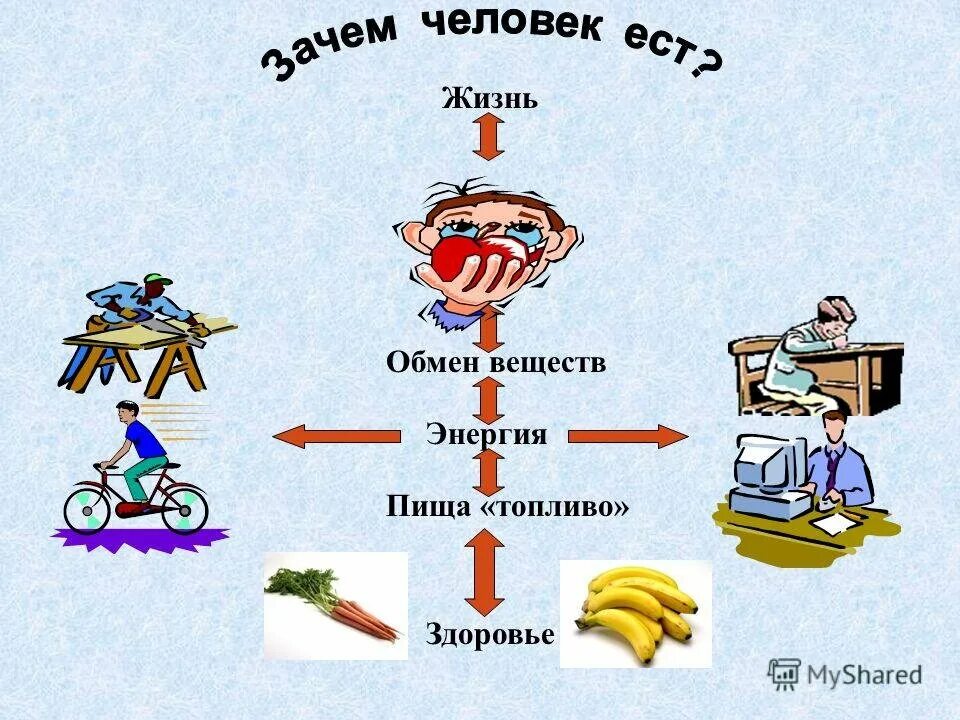 Обмен жизни и среда. Еда источник энергии для организма. Пища источник энергии для человека. Питание и энергия человека. Энергия источника питания.