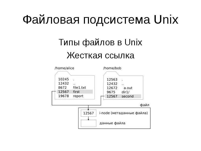 Файловая система ubuntu. Структура файловой системы unix. типы файловая система в юникс. файловая система операционной системы unix.. типы файлов ос linux.